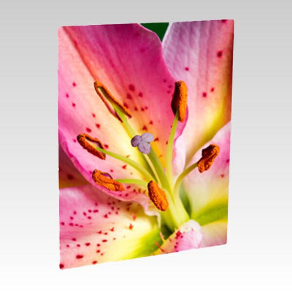 Photo Panel US-4008 Thumbnail