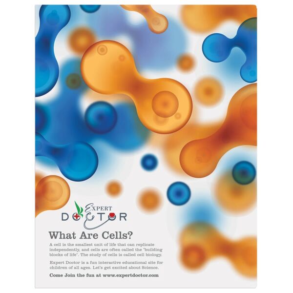 11" x 14" Semi-Gloss ChromaLuxe Aluminum Photo Panel Thumbnail