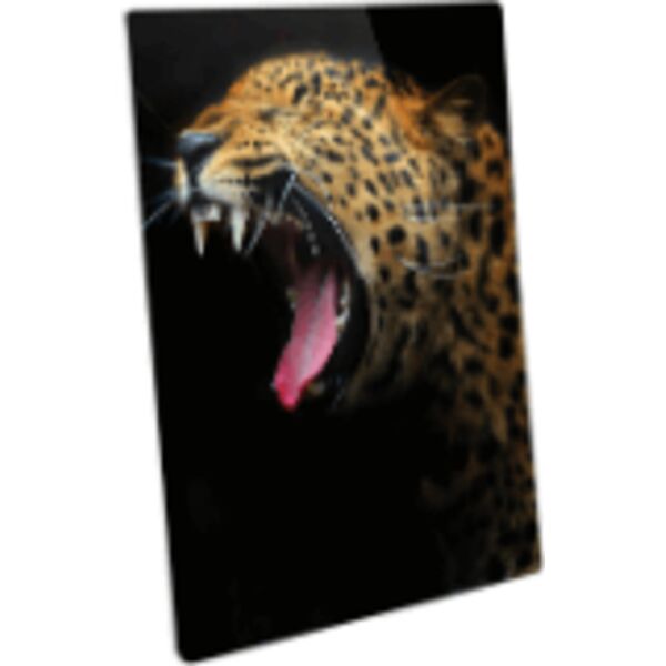 16" x 24" Semi-Gloss ChromaLuxe Aluminum Photo Panel Thumbnail