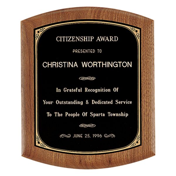 9 1/2" x 11 1/2" Coventry Series American Plaque with Border Laserable Brass Plate Thumbnail