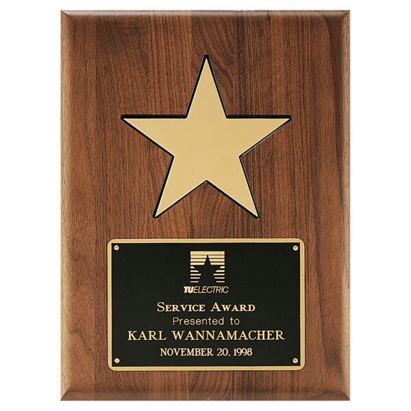 9" X 12" Aluminum Star on a Solid Plaque with Recessed Area and LaserFX Plate Thumbnail
