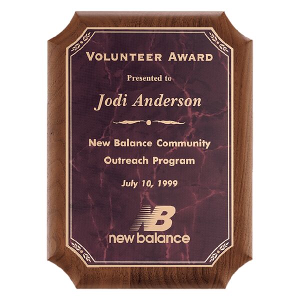 9" x 12" American Plaque with Border Ruby Marble LaserFX Plate Thumbnail