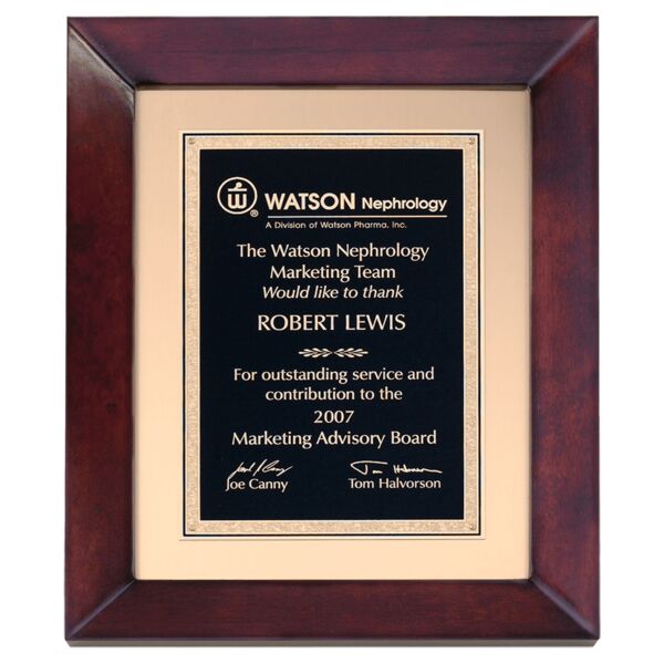 12" x 15" Airflyte Finish Frame wtih Metal Background and and LaserFX Florentine Border Plate Thumbnail