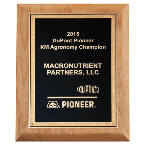 8" x 10" Natural Wood Plaque with Textured Florentine Bordered LaserFX Plate Thumbnail