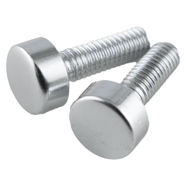 Replacement Screws for P5340 Perpetual Plaque Thumbnail