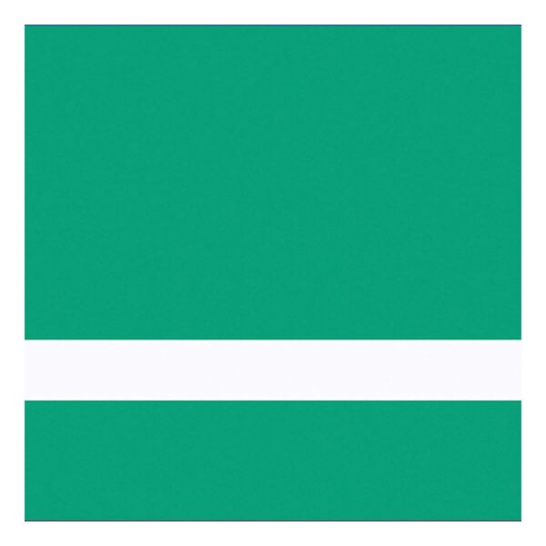 Undersize Brushed Satin Spring / Gemini Duets Selects Thumbnail