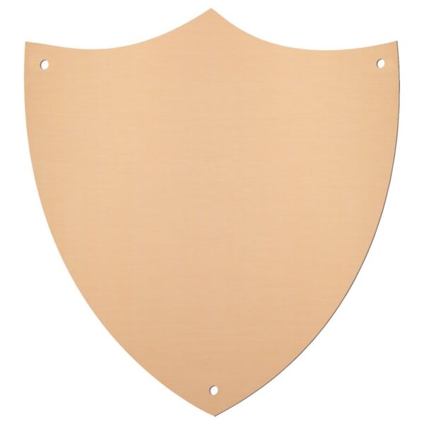 5 1/2" x 6" Satin Aluminum Shield Plaque Plate Thumbnail