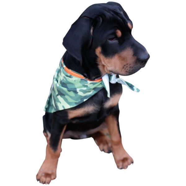 18" x 18" x 26" Sublimatable Pet Bandana Thumbnail