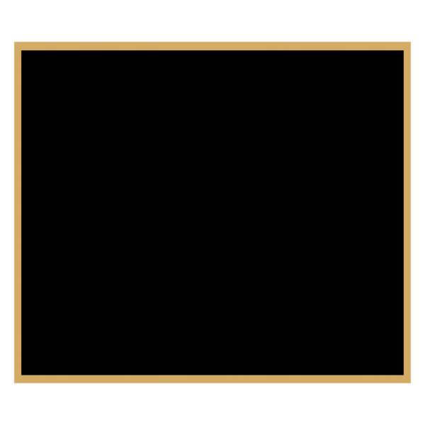 2 1/2" x 2 7/8" Laserable Brass Plaque Plate with Border Thumbnail