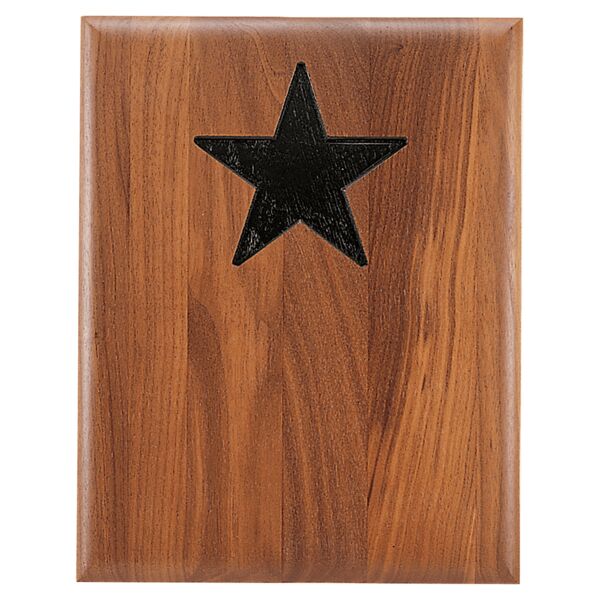 12" x 15" Piano Finish Plaque With Star Recess Thumbnail
