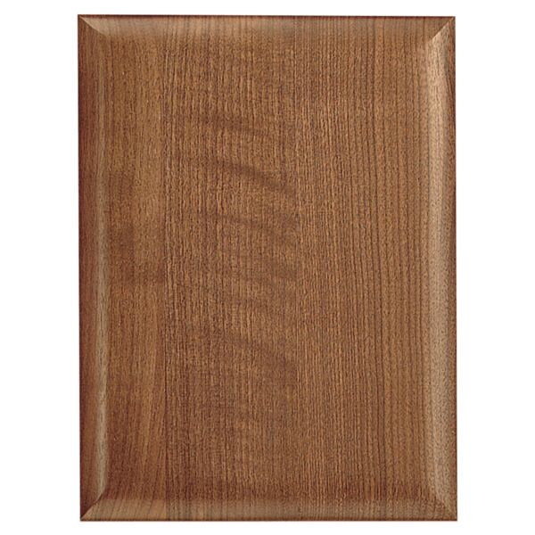 11" X 14" Airflyte Plaque Thumbnail