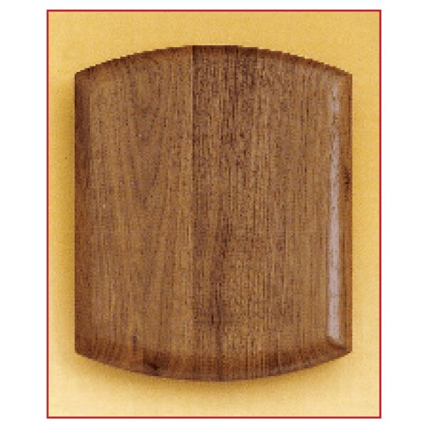 8 1/2" x 10" Airflyte American Plaque Thumbnail