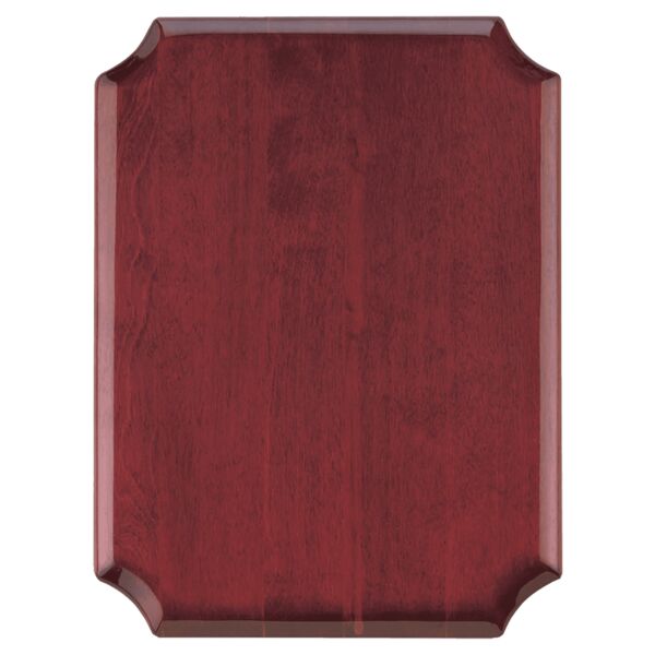 11" x 15" Airflyte High Gloss Plaque with Notched Corners Thumbnail