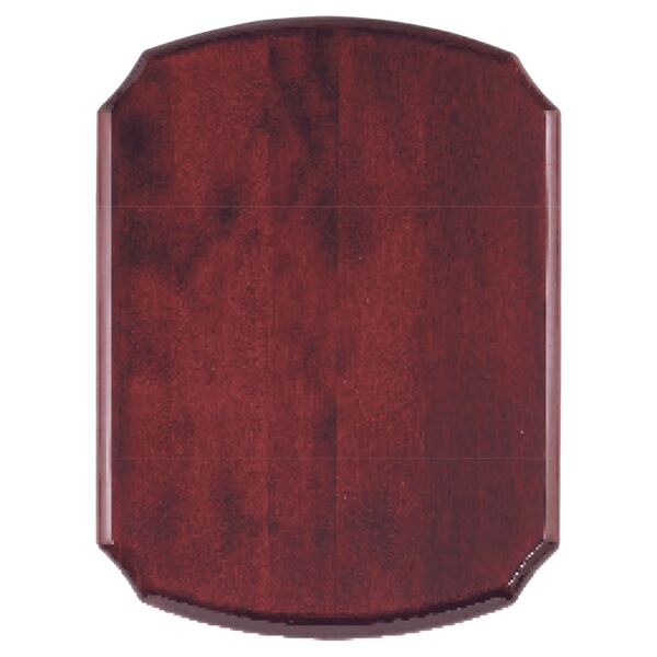 10 1/2" x 13" Airflyte Piano Finish Plaque Thumbnail