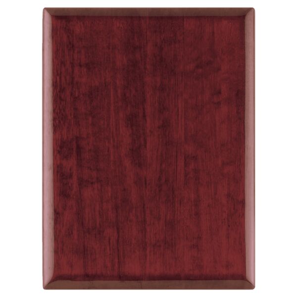 8" x 10 1/2" Airflyte Piano Finish Plaque with Round Corners Thumbnail