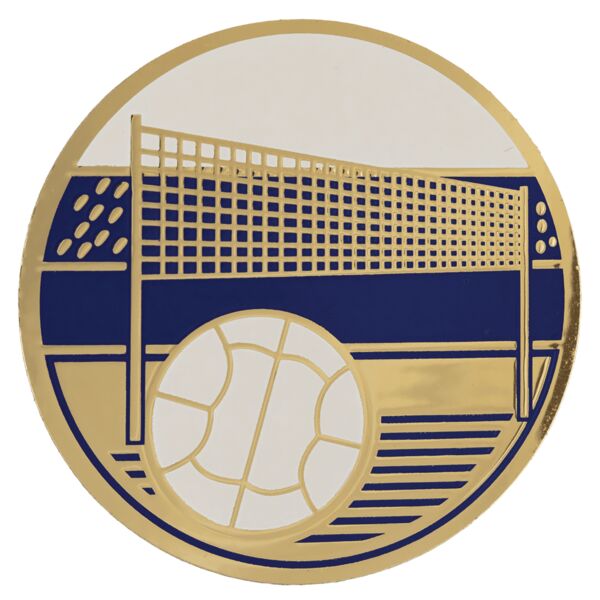 2" Volleyball Activity Insert Thumbnail