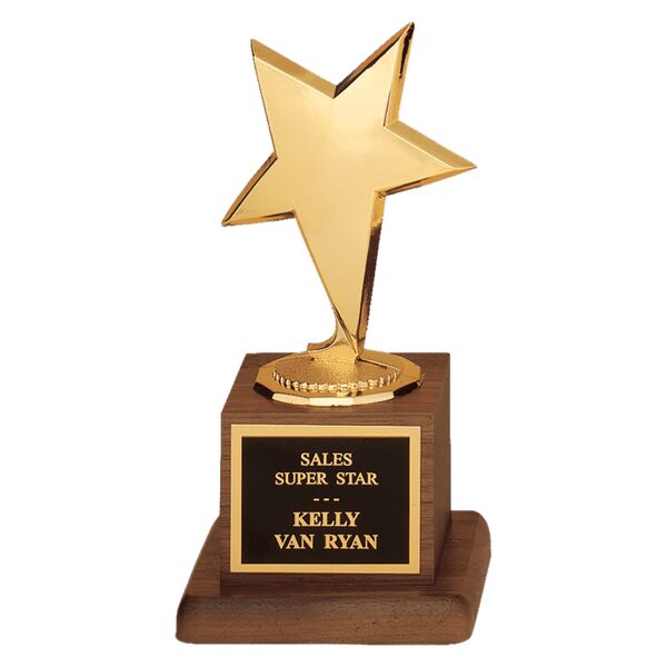 3 1/2" x 6 3/4" Modern Star Casting in Goldtone Finish on Finish Base with Laserable Plate Thumbnail